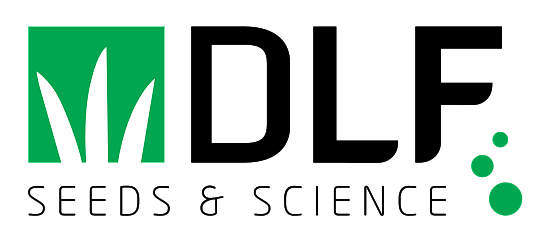 DLF